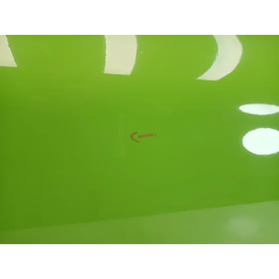 Puerta Delantera Derecha para Porsche Cayenne (9Pa)