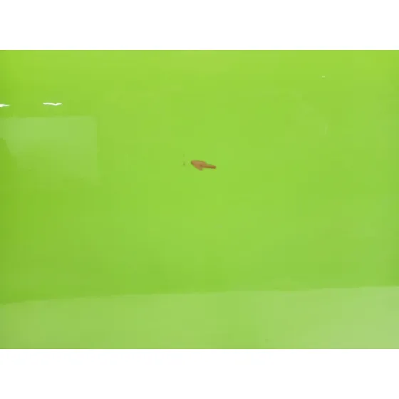Puerta Trasera Derecha para Porsche Cayenne (9Pa)