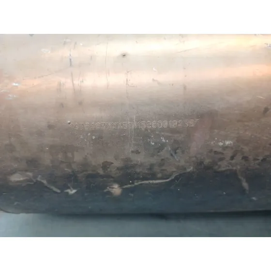 Filtro De Particulas para Citroën C4 Picasso