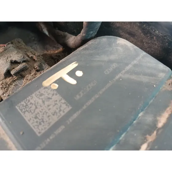 Deposito Fap para Citroën C4 Picasso