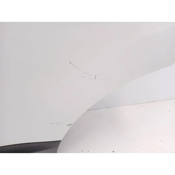 Puerta Trasera Izquierda para Nissan Qashqai I (J10, Nj10)