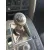 Caja Cambios para Audi A6 C6 (4F2)