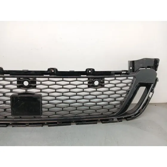 Rejilla Paragolpes Delantero para Land Rover Discovery V Van (L462)