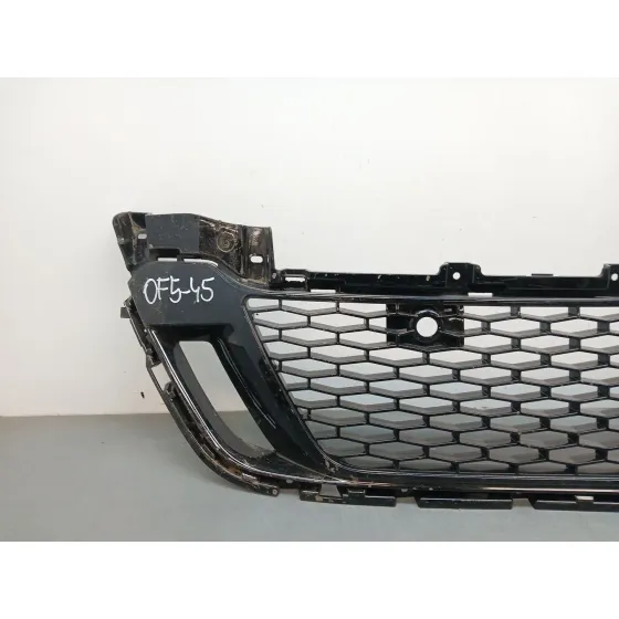 Rejilla Paragolpes Delantero para Land Rover Discovery V Van (L462)