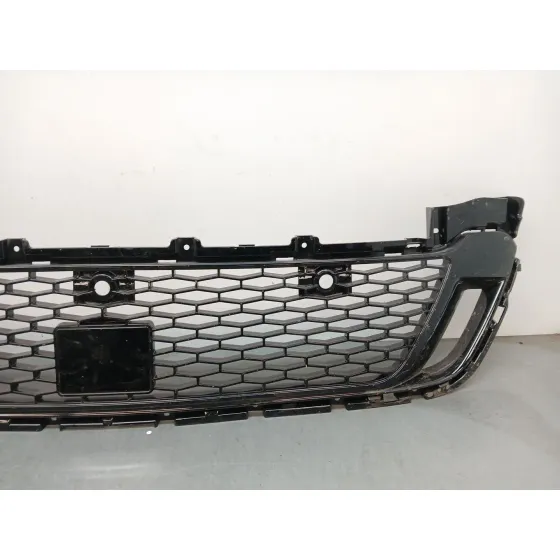 Rejilla Paragolpes Delantero para Land Rover Discovery V Van (L462)