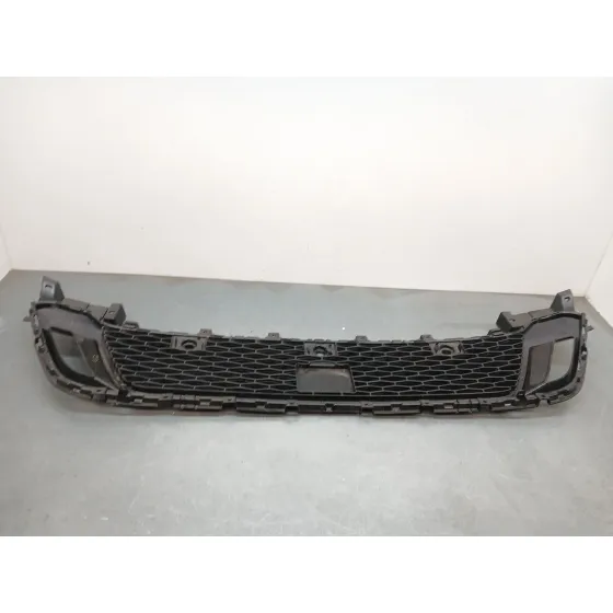 Rejilla Paragolpes Delantero para Land Rover Discovery V Van (L462)