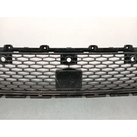 Rejilla Paragolpes Delantero para Land Rover Discovery V Van (L462)