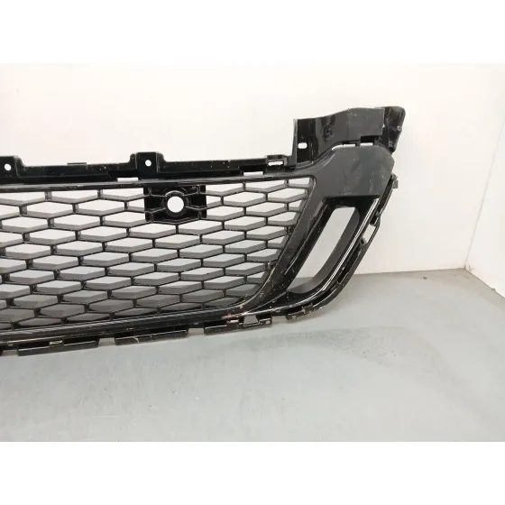 Rejilla Paragolpes Delantero para Land Rover Discovery V Van (L462)
