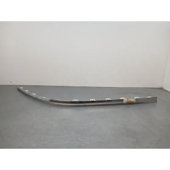 Moldura para Bentley Flying Spur (Zg2_)
