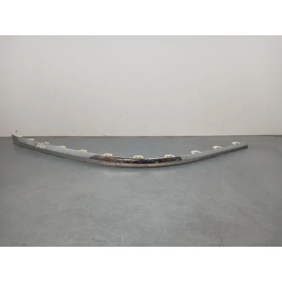 Moldura para Bentley Flying Spur (Zg2_)