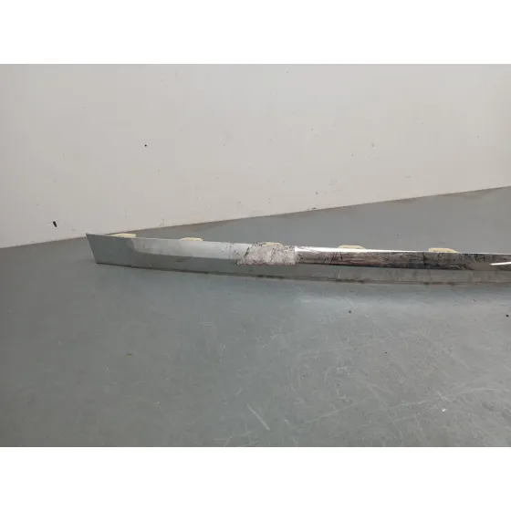Moldura para Bentley Flying Spur (Zg2_)