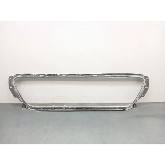 Rejilla Paragolpes Delantero para Bentley Continental Descapotable (3S_)