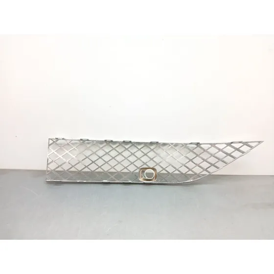 Rejilla Paragolpes Delantero para Bentley Continental Coupe (3W_, 393)