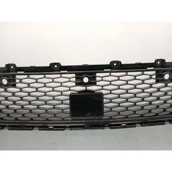 Rejilla Paragolpes Delantero para Land Rover Discovery V Van (L462)