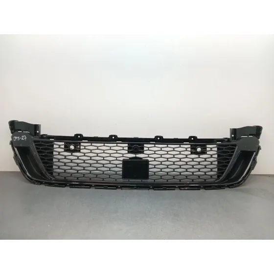Rejilla Paragolpes Delantero para Land Rover Discovery V Van (L462)