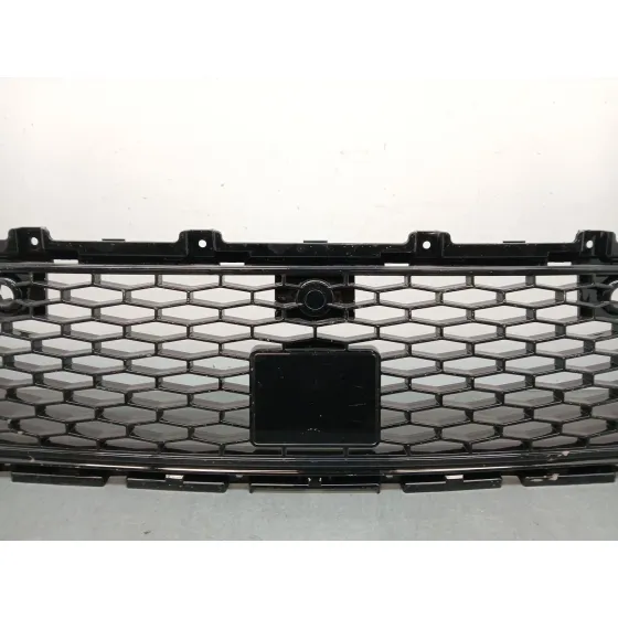 Rejilla Paragolpes Delantero para Land Rover Discovery V Van (L462)