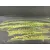 Paragolpes Delantero para Volkswagen Golf Viii (Cd1, Da1)