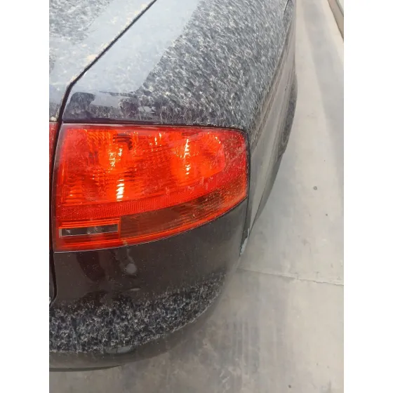 Piloto Trasero Derecho para Audi A4 B7 (8Ec)