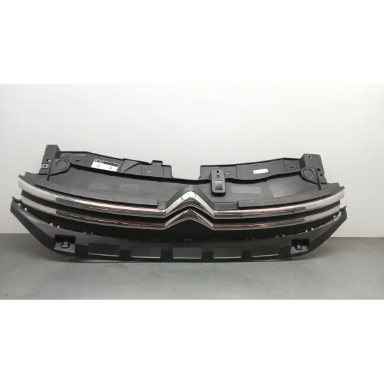 Rejilla Paragolpes Delantero para Citroën C3