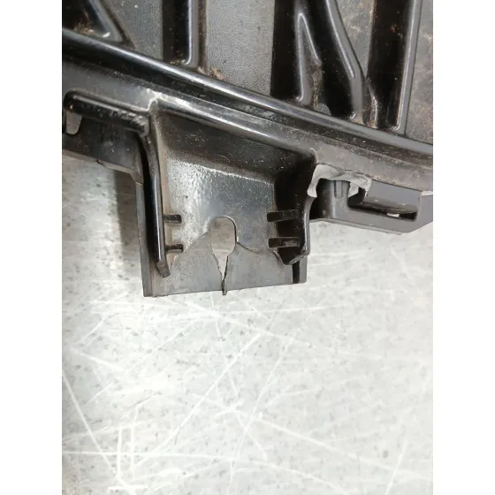Rejilla Paragolpes Delantero para Ds Ds 3 (Sa_)