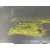Paragolpes Delantero para Audi A6 C8 (4A2)