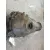 Diferencial Delantero para Bmw X3 (E83)