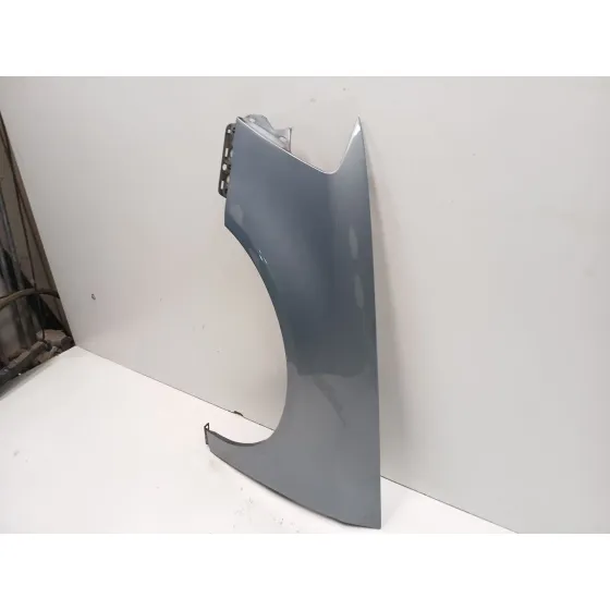 Aleta Delantera Izquierda para Volkswagen Passat B6 (3C2)