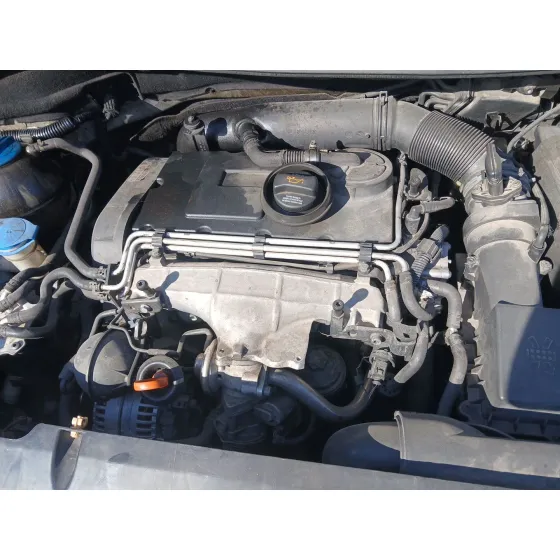 Despiece Motor para Seat Toledo Iii (5P2)