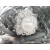 Despiece Motor para Seat Toledo Iii (5P2)