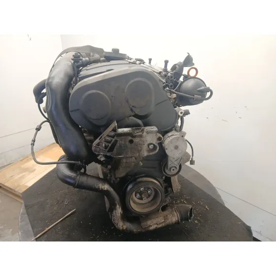 Despiece Motor para Seat Toledo Iii (5P2)