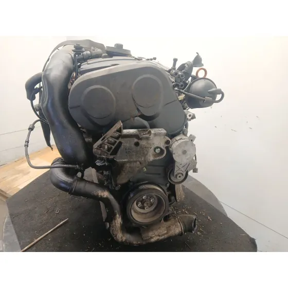 Despiece Motor para Seat Toledo Iii (5P2)
