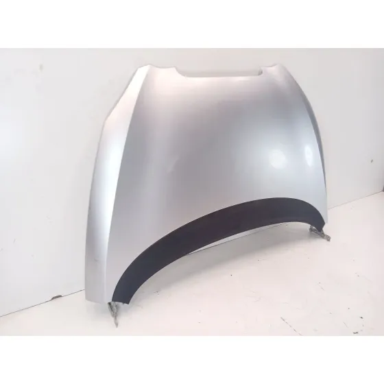 Capot para Seat Toledo Iii (5P2)