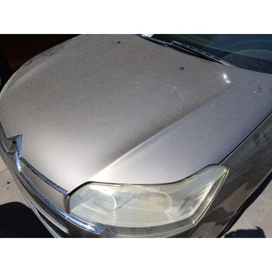 Capot para Citroën C5 Iii (Rd_)