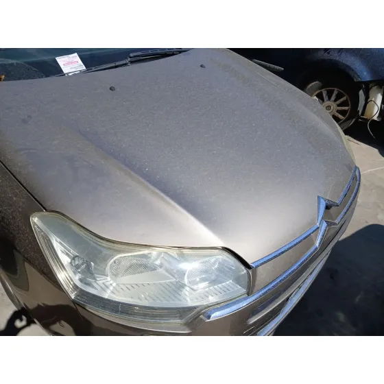 Capot para Citroën C5 Iii (Rd_)