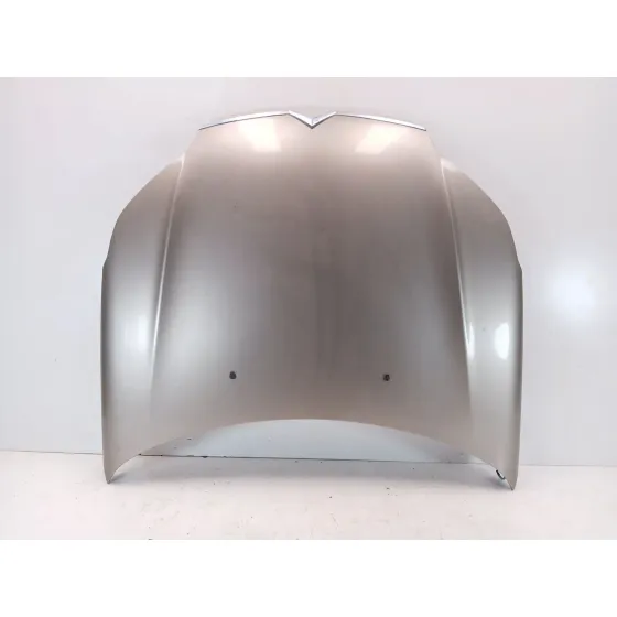 Capot para Citroën C5 Iii (Rd_)