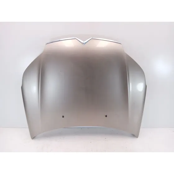 Capot para Citroën C5 Iii (Rd_)