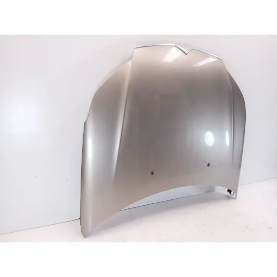 Capot para Citroën C5 Iii (Rd_)