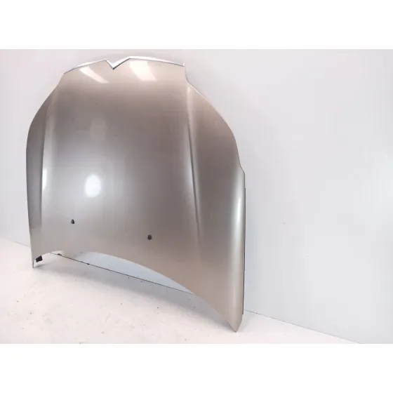Capot para Citroën C5 Iii (Rd_)