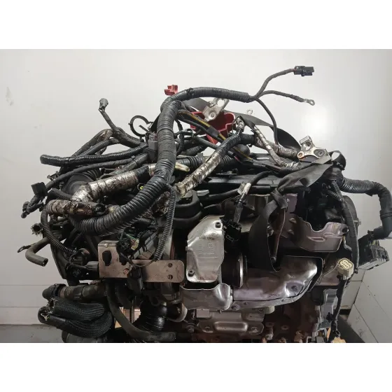 Despiece Motor para Ford S-Max (Cj, Wa6)