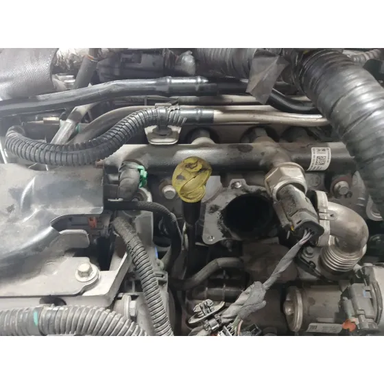 Despiece Motor para Ford S-Max (Cj, Wa6)
