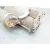 Motor Arranque para Ford Kuga I