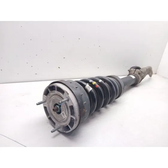 Amortiguador Delantero Izquierdo para Jaguar F-Pace (X761)