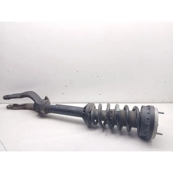 Amortiguador Delantero Izquierdo para Jaguar F-Pace (X761)