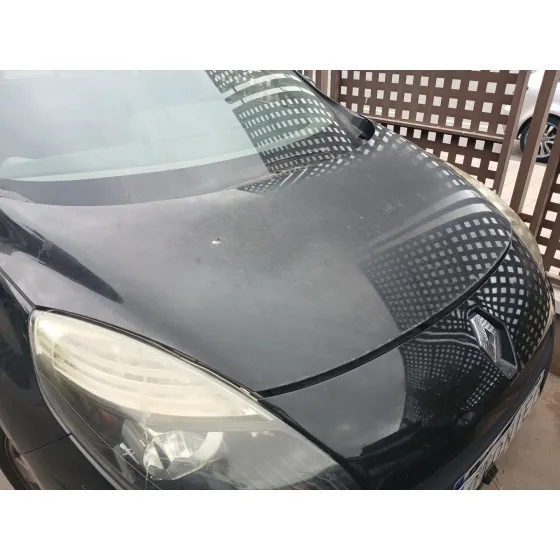 Capot para Renault Scenic Iii (Jz0/1_)