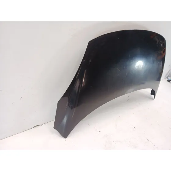 Capot para Renault Scenic Iii (Jz0/1_)