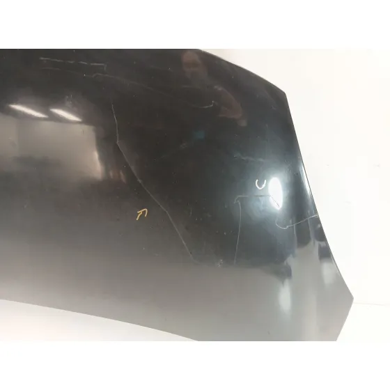 Capot para Renault Scenic Iii (Jz0/1_)