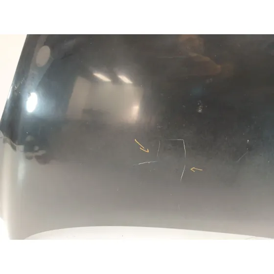 Capot para Renault Scenic Iii (Jz0/1_)
