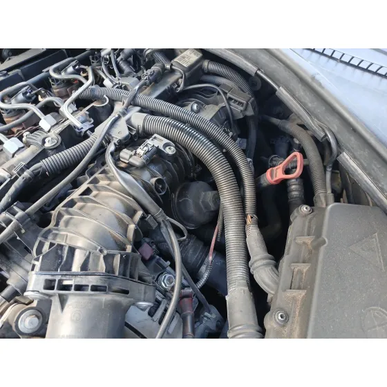 Motor Completo para Bmw 1 (F20)