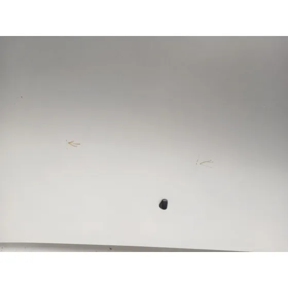 Capot para Honda Fr-V (Be)