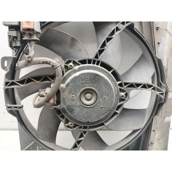 Electroventilador para Peugeot 207/207+ (Wa_, Wc_)